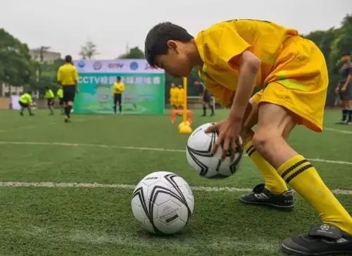 4. 培训合同的变更与解除-第4张图片-足球直播_足球免费在线高清直播_足球视频在线观看无插件-24直播网